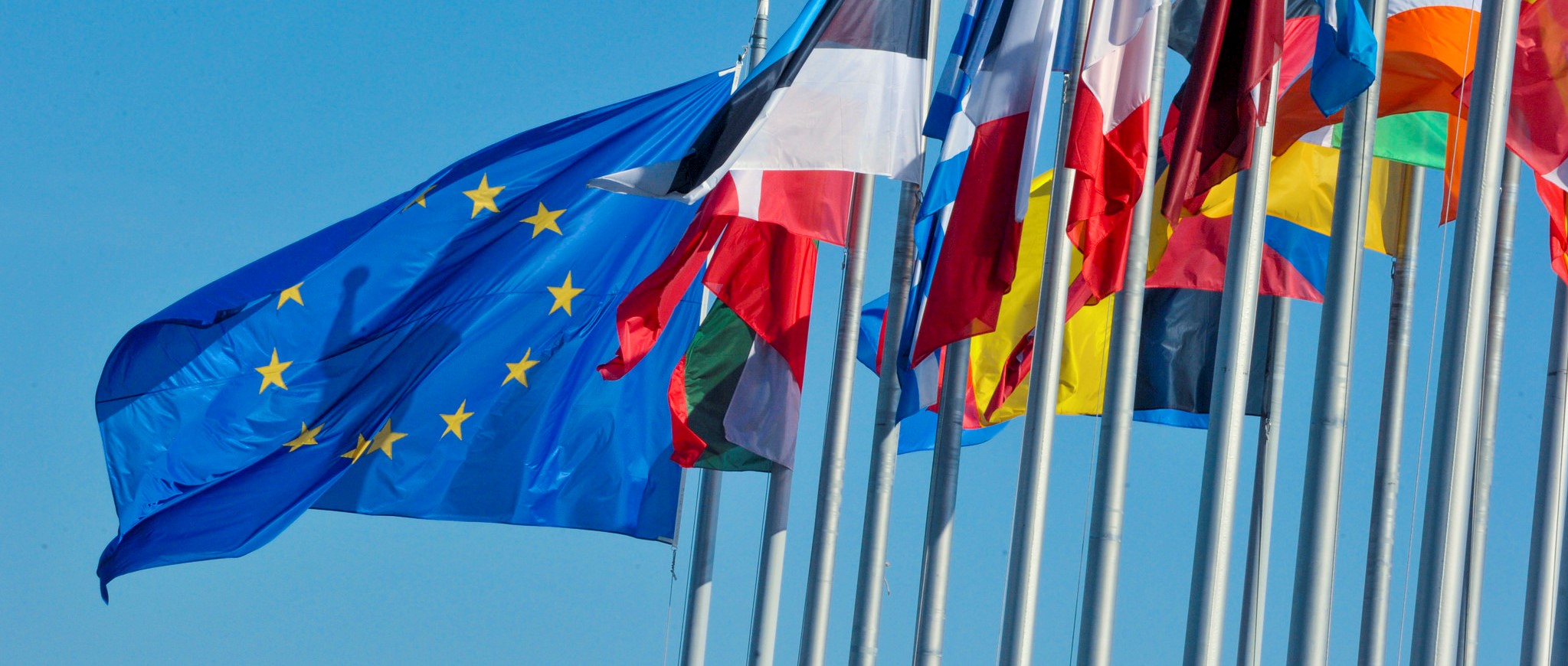 cropped euro flags.jpg